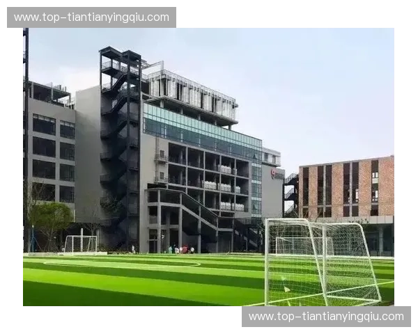 探秘“凯云体育中心入口”:迈入运动与活力的新天地